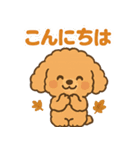 秋♡ず～っと使える♡トイプードル（個別スタンプ：23）