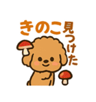 秋♡ず～っと使える♡トイプードル（個別スタンプ：26）
