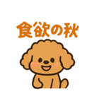 秋♡ず～っと使える♡トイプードル（個別スタンプ：27）