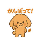 秋♡ず～っと使える♡トイプードル（個別スタンプ：32）