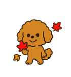 秋♡ず～っと使える♡トイプードル（個別スタンプ：35）