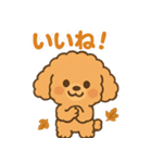 秋♡ず～っと使える♡トイプードル（個別スタンプ：40）