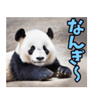沖縄弁☆パンダ（個別スタンプ：20）