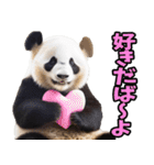 沖縄弁☆パンダ（個別スタンプ：27）