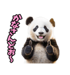 沖縄弁☆パンダ（個別スタンプ：34）