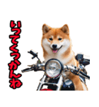 栃木弁☆柴犬（個別スタンプ：9）