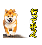 栃木弁☆柴犬（個別スタンプ：10）
