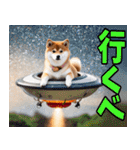 栃木弁☆柴犬（個別スタンプ：11）