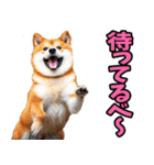 栃木弁☆柴犬（個別スタンプ：12）