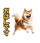 栃木弁☆柴犬（個別スタンプ：15）