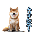 栃木弁☆柴犬（個別スタンプ：37）