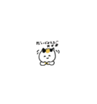 【小さめ】日本猫の褒め言葉スタンプ（個別スタンプ：35）