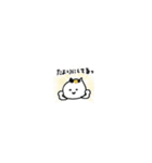 【小さめ】日本猫の褒め言葉スタンプ（個別スタンプ：38）