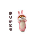 踊る！豆柴（着ぐるみ）（個別スタンプ：4）