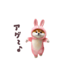 踊る！豆柴（着ぐるみ）（個別スタンプ：18）