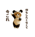 意外と使える♡ネガティブで今これ！（個別スタンプ：19）