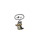 小さいヨークシャテリア(フキダシ)（個別スタンプ：1）