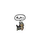 小さいヨークシャテリア(フキダシ)（個別スタンプ：4）