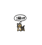 小さいヨークシャテリア(フキダシ)（個別スタンプ：6）