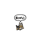 小さいヨークシャテリア(フキダシ)（個別スタンプ：7）