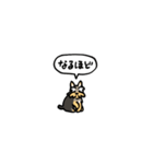小さいヨークシャテリア(フキダシ)（個別スタンプ：9）
