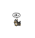 小さいヨークシャテリア(フキダシ)（個別スタンプ：11）
