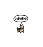 小さいヨークシャテリア(フキダシ)（個別スタンプ：16）