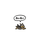 小さいヨークシャテリア(フキダシ)（個別スタンプ：17）