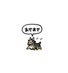 小さいヨークシャテリア(フキダシ)（個別スタンプ：19）