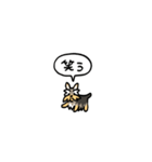 小さいヨークシャテリア(フキダシ)（個別スタンプ：24）