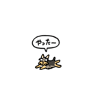 小さいヨークシャテリア(フキダシ)（個別スタンプ：27）