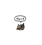 小さいヨークシャテリア(フキダシ)（個別スタンプ：29）