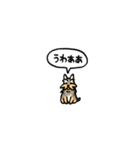 小さいヨークシャテリア(フキダシ)（個別スタンプ：30）