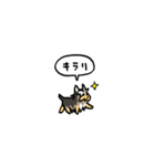 小さいヨークシャテリア(フキダシ)（個別スタンプ：31）