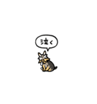 小さいヨークシャテリア(フキダシ)（個別スタンプ：35）