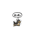 小さいヨークシャテリア(フキダシ)（個別スタンプ：37）