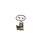 小さいヨークシャテリア(フキダシ)（個別スタンプ：40）