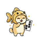 金魚犬のおみくじスタンプ（個別スタンプ：3）