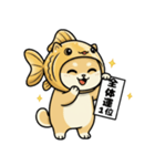 金魚犬のおみくじスタンプ（個別スタンプ：6）