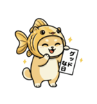 金魚犬のおみくじスタンプ（個別スタンプ：8）