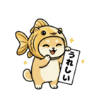 金魚犬のおみくじスタンプ（個別スタンプ：11）