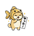 金魚犬のおみくじスタンプ（個別スタンプ：12）