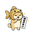 金魚犬のおみくじスタンプ（個別スタンプ：15）