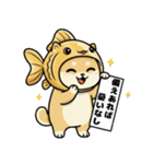 金魚犬のおみくじスタンプ（個別スタンプ：20）