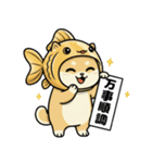 金魚犬のおみくじスタンプ（個別スタンプ：38）