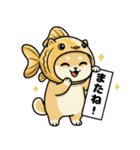 金魚犬のおみくじスタンプ（個別スタンプ：40）