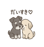ずーっとラブ！ミニチュアシュナウザー（個別スタンプ：1）
