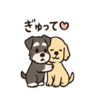 ずーっとラブ！ミニチュアシュナウザー（個別スタンプ：4）