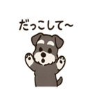 ずーっとラブ！ミニチュアシュナウザー（個別スタンプ：5）