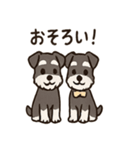 ずーっとラブ！ミニチュアシュナウザー（個別スタンプ：7）